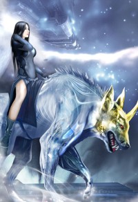 甲武传说